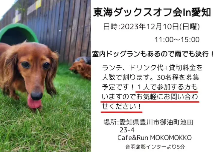 こんにちは😊愛知県で室内ドッグランをお探しの方は是非モコモッ...