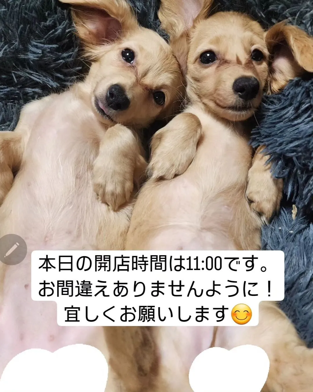 本日も宜しくお願いします😊✨