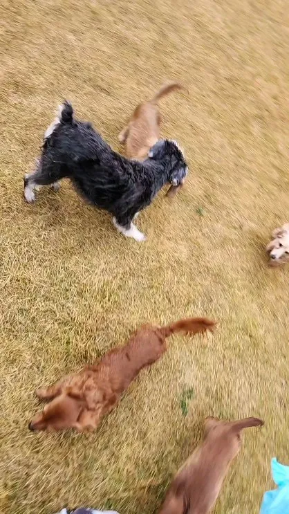 こんにちは😊モコモッコです✨