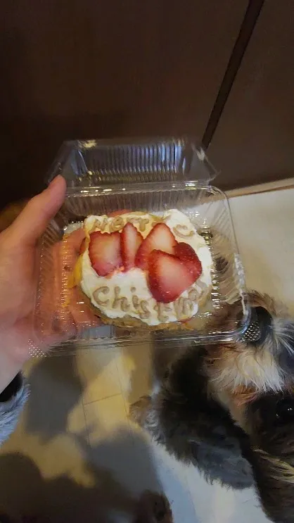 クリスマスケーキ🎄🎅🎁✨